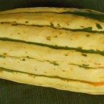 a delicata squash