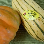 delicata and acorn squash