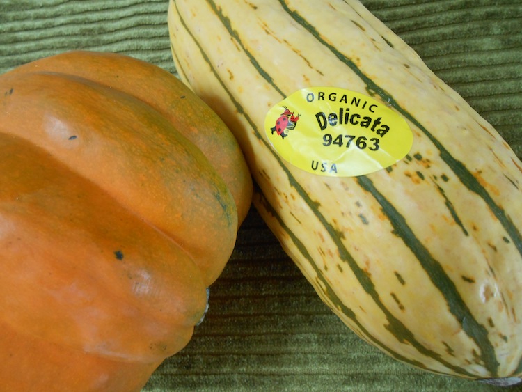 delicata and acorn squash